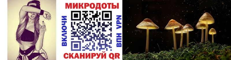 Псилоцибиновые грибы мухоморы darknet клад Мурино где купить